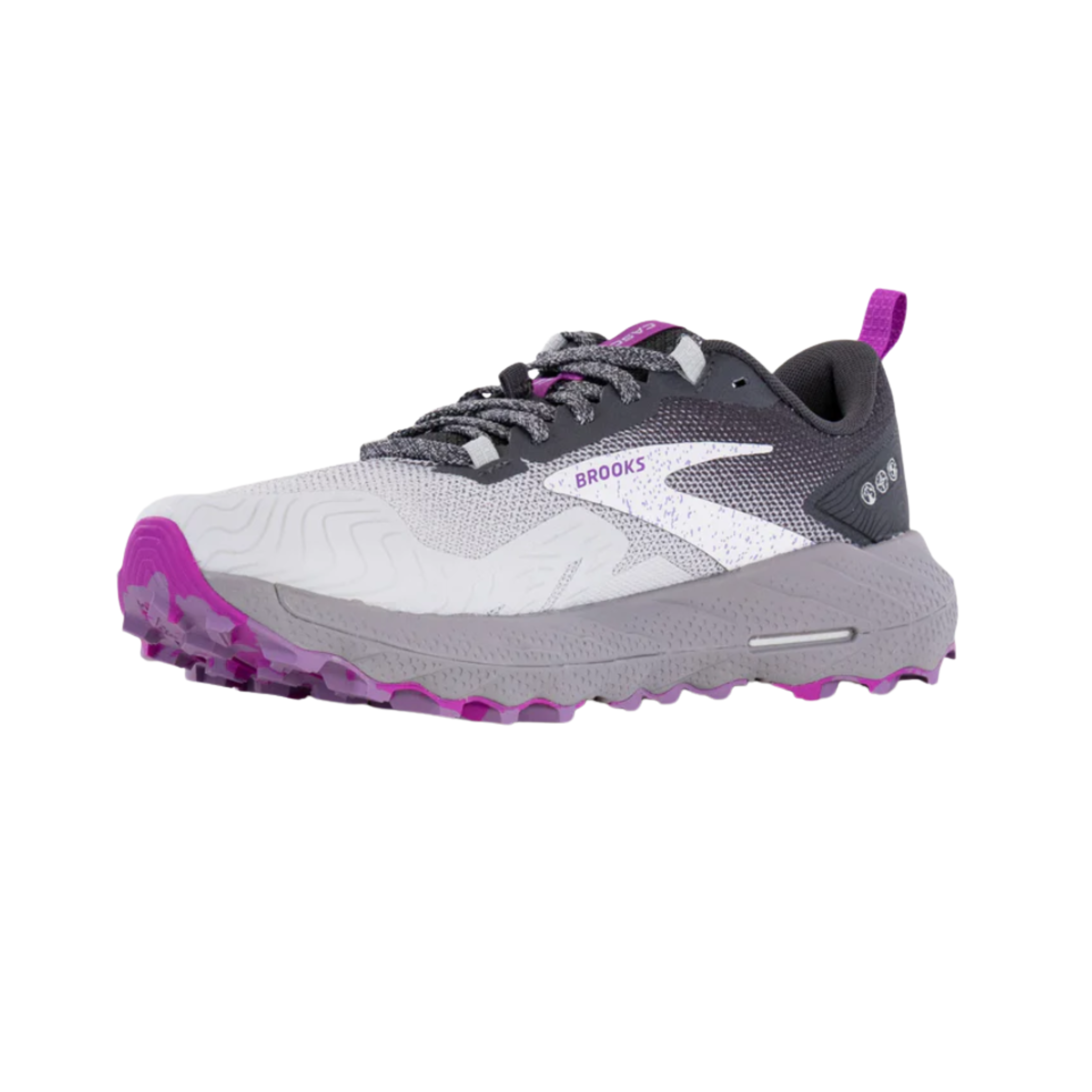 Angled view of Brooks Cascadia 17 Women’s in Oyster/Blackened Pearl/Purple – Featuring an adaptive fit and shock-absorbing midsole, ideal for long treks and mixed-terrain conditions.
