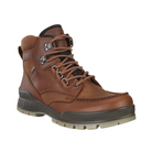 Angled View of Men’s ECCO Track 25 Boot in Bison – featuring timeless outdoor silhouette, earthy brown leather finish, and reliable waterproof build for hiking or everyday rugged wear.
