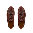 Top view of Men’s Ecco Soft 7 City sneaker in cognac – featuring padded collar and tongue for added comfort, breathable lining to keep feet dry, and traditional lace-up closure for secure fit.