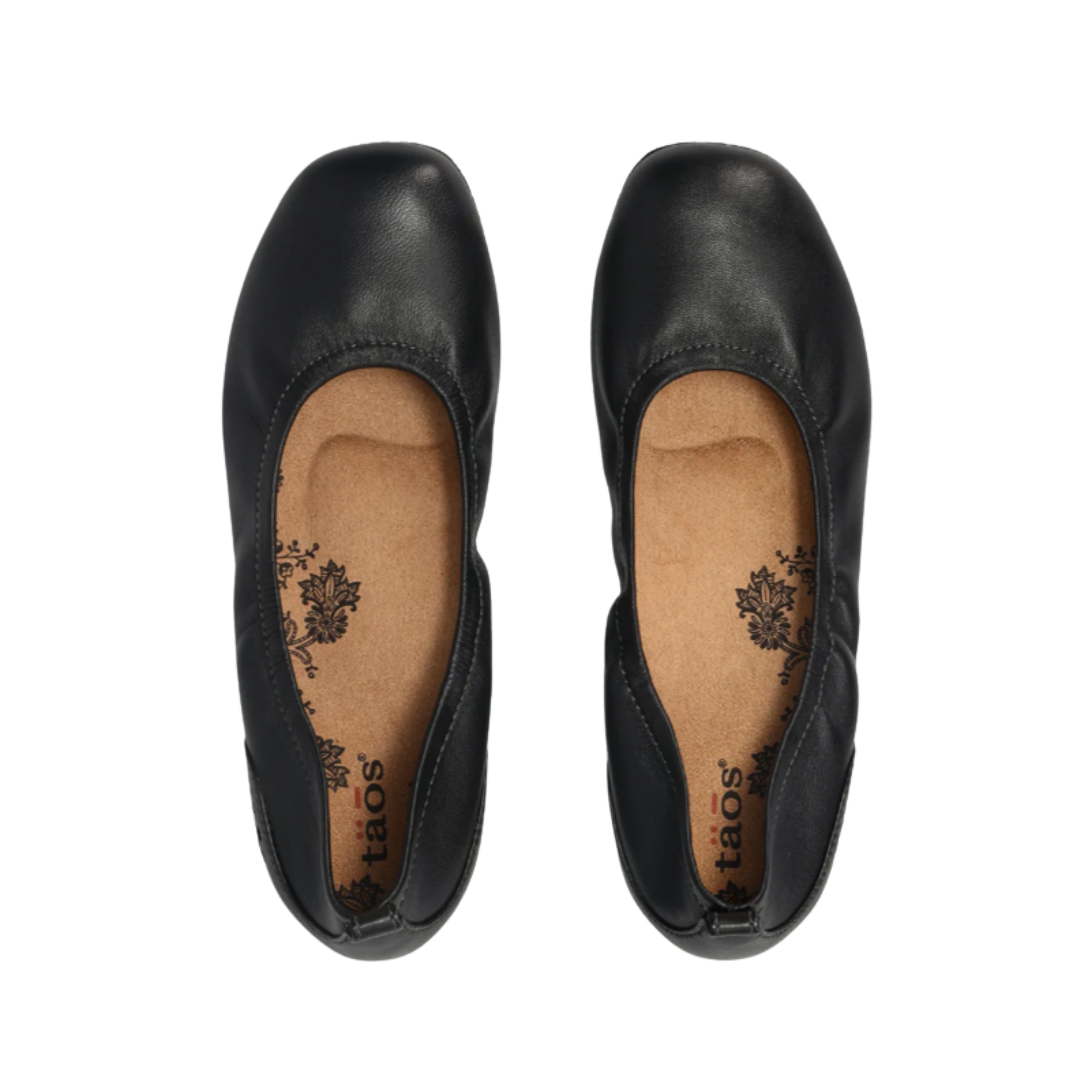 Top View of Women’s Taos Chit Chat Shoe in Black – Features include a smooth leather upper, hook-and-loop strap for easy adjustment, and a softly cushioned insole.