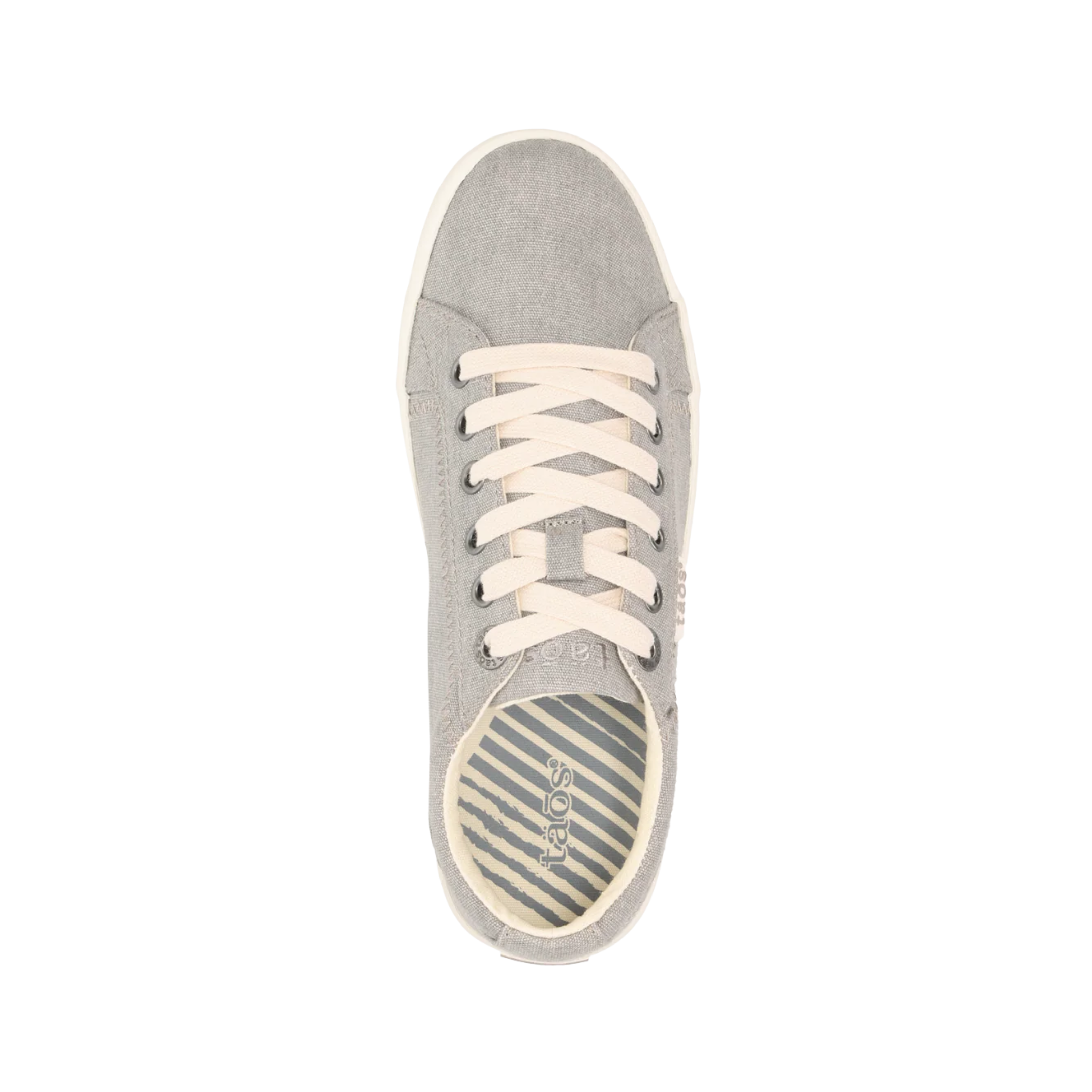 Top View of Women's Taos Star in Grey Wash Canvas – Featuring a breathable canvas upper with a neutral, versatile grey wash for a stylish, comfortable look.