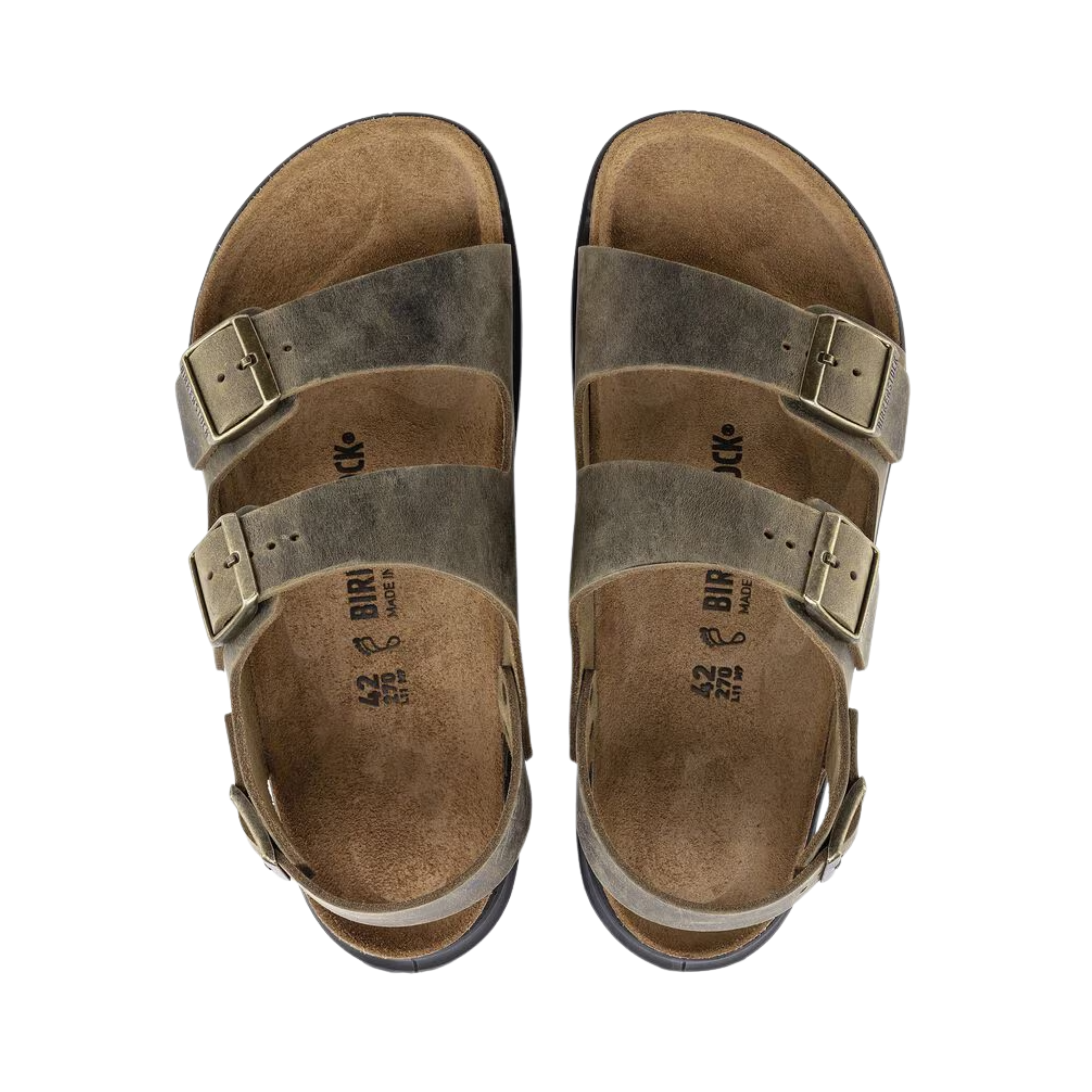 Top View of Men’s Birkenstock Milano Rugged sandal in oiled leather faded khaki – featuring three adjustable oiled leather straps, anatomically shaped cork-latex footbed for arch support, and roomy toe area for natural foot alignment.